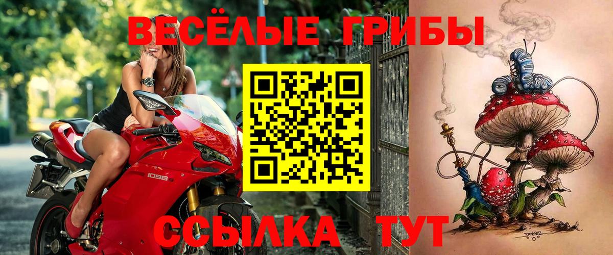 Галлюциногенные грибы мицелий Железноводск