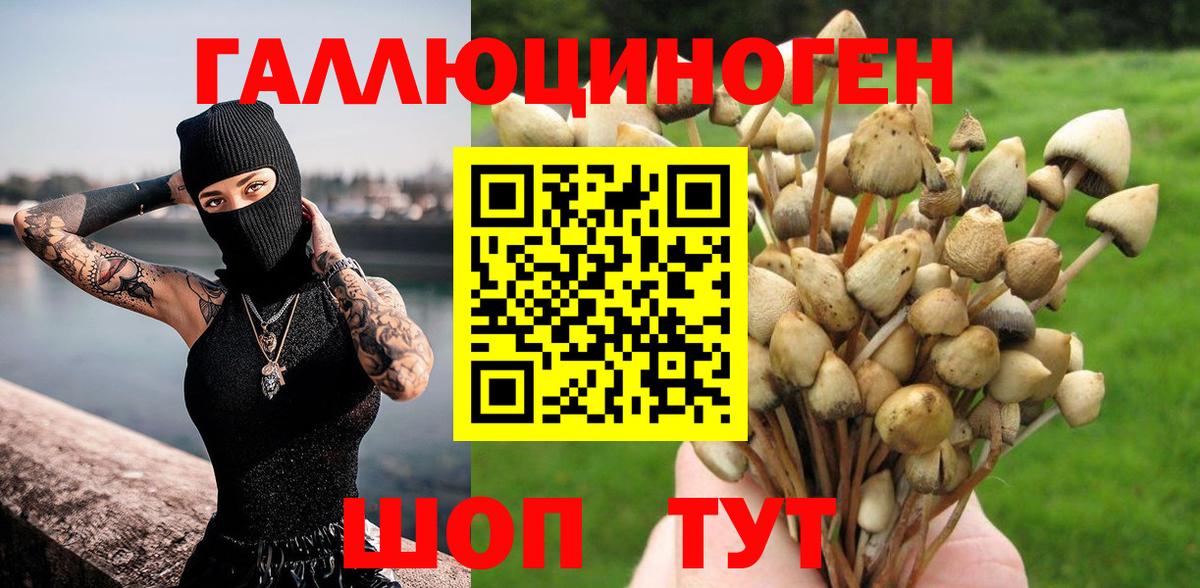 Псилоцибиновые грибы Magic Shrooms  Вход с VPN  Псилоцибиновые грибы Psilocybe  Железноводск 